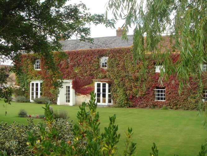 White Pond Farm